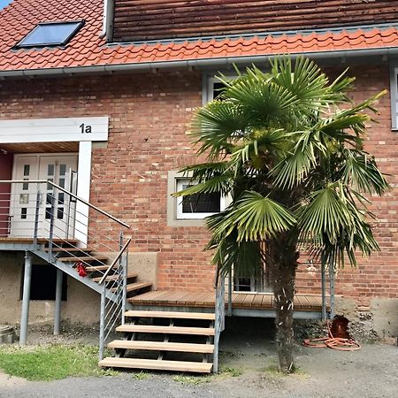 Komfortables Doppelzimmer In Kehl Goldscheuer - 1A Guesthouse المظهر الخارجي الصورة